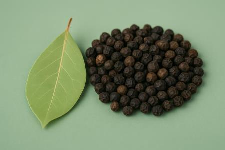 Pfeffer ist nicht nur fürs Essen da: 4 Überraschungen, die das beliebteste Gewürz der Welt verbirgt